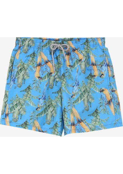 Çok Renkli Erkek Şort Mayo PBF4SM-SWM03 fiyatları