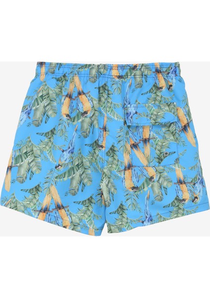 Çok Renkli Erkek Şort Mayo PBF4SM-SWM03 modelleri