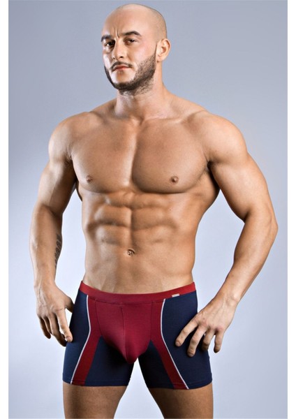 Elegant Erkek Boxer 1720 modelleri