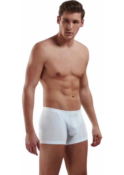 Adonis Boxer 1770