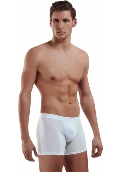 Erkek Boxer 3'lü Ekonomik Paket 1742 modelleri