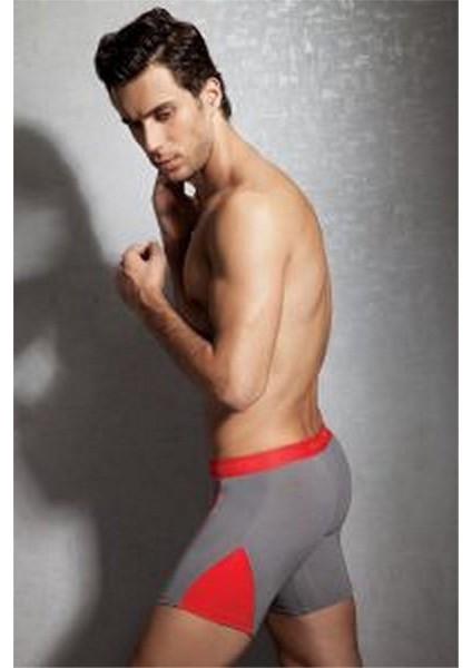Rahat Streç Erkek Boxer 1754 fiyatları