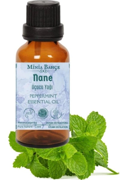Nane Yağı 10ML - Defne Yaprağı Yağı 10 Ml- Limon Otu Yağı 10ML