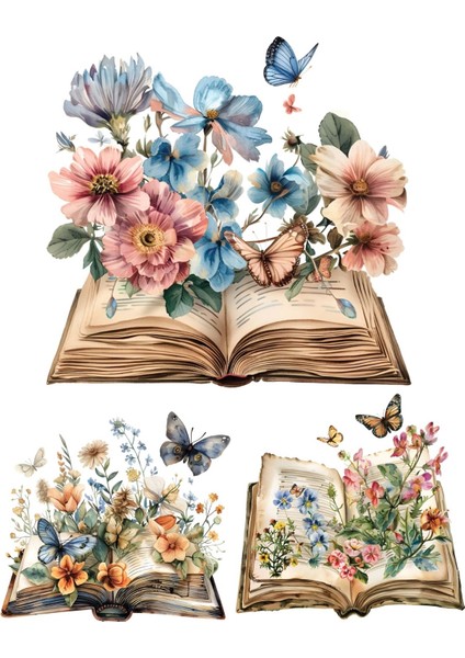 Sulu Transfer LNT-280 25X35 cm