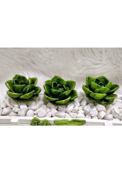 5,7cm Sukulent Çiçek Silikon Kalıp K-1313, Kokulu Taş Sabun Alçı Mum Kalıbı