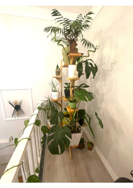 Çiçeklik Ahşap Tasarım fırsatları