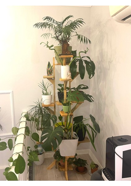 Çiçeklik Ahşap Tasarım indirimleri