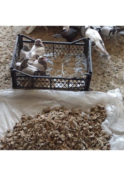 Doğal Güvercin Gübresi 3 kg