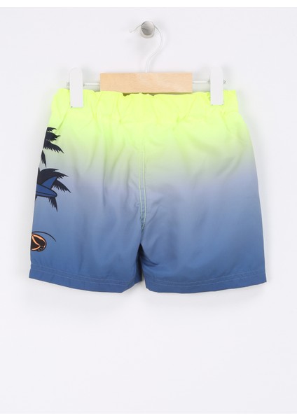 Sarı Erkek Şort Mayo Nmmmack Mıckey Long Swımshorts Wdı fiyatları