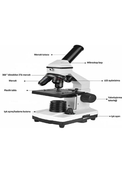 Okul Laboratuarlarına Uygun Eğitim Mikroskobu 640X Büyütme