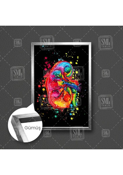 Böbrek Ilüstrasyonu Üroloji Ürolog Dekorasyon Çerçeveli Dikey Kanvas Tablo fırsatları