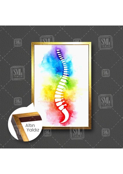 Sulu Boya Omurga Ilüstrasyonu Fizyoterapi Beyin ve Sinir Cerrahisi Çerçeveli Dikey Kanvas Tablo