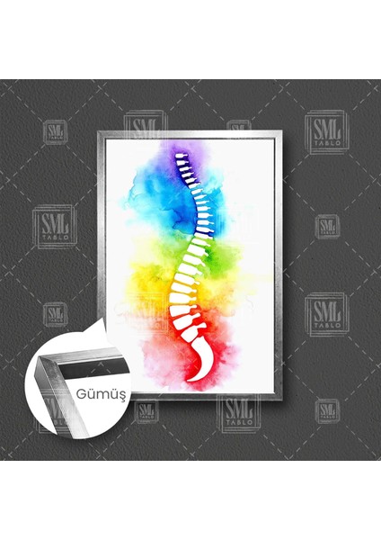 Sulu Boya Omurga Ilüstrasyonu Fizyoterapi Beyin ve Sinir Cerrahisi Çerçeveli Dikey Kanvas Tablo fırsatları