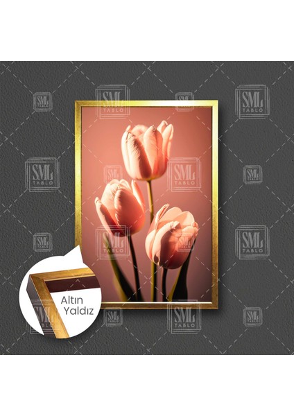 Pembe Lale Pink Tulip Çiçek Doğa Dekoratif Çerçeveli Dikey Kanvas Tablo