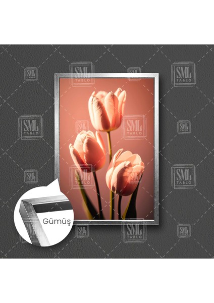Pembe Lale Pink Tulip Çiçek Doğa Dekoratif Çerçeveli Dikey Kanvas Tablo fırsatları