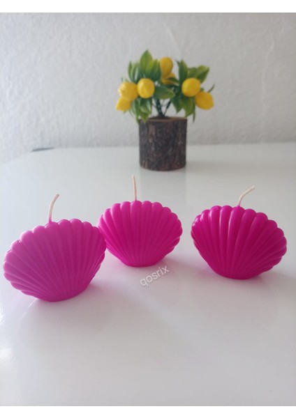 3'Lü Pembe Fuşya Mini Istiridye Deniz Kabuğu Doğal Kokulu Mum Dekoratif