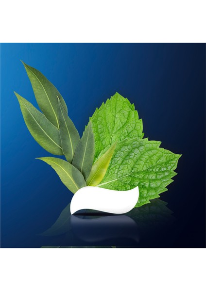 Pro Sensitive Diş Macunu 75 ml