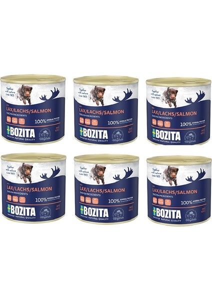 Tahılısz Somon Balıklı Köpek Konservesi 625 gr. x 6 Adet