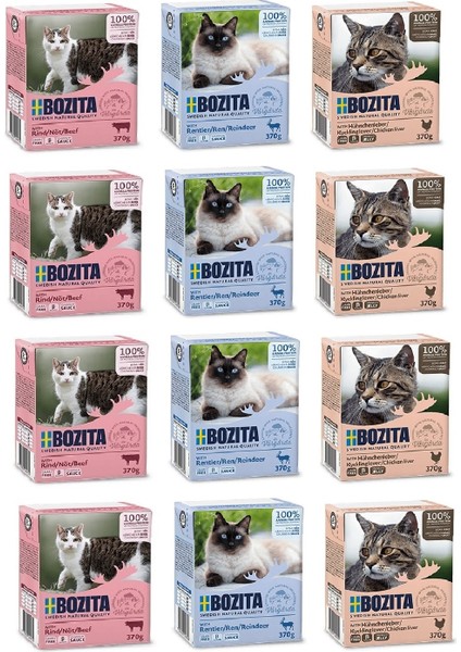 3 Çeşit Karma Tahılsız Kedi Yaş Maması 370 gr. x 12 Adet