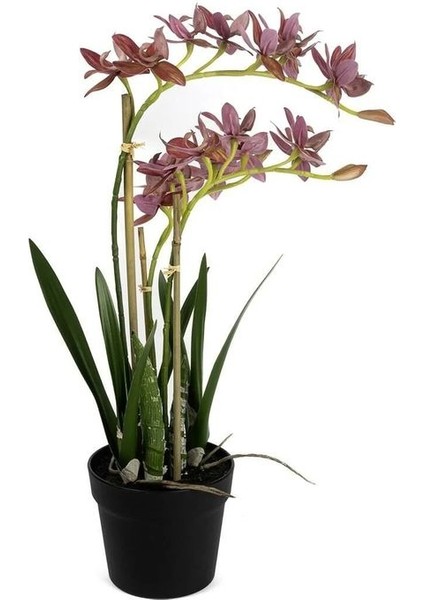 P282.356477 Pembe Yapay Vanda Orkide 61CM