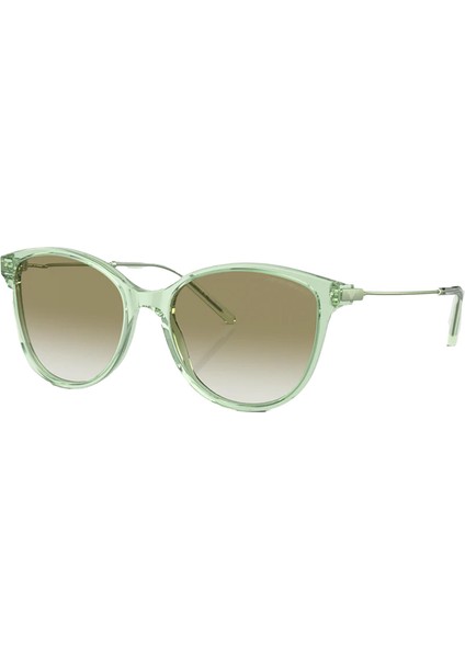 EA4220 61078E 54 Unisex Güneş Gözlüğü