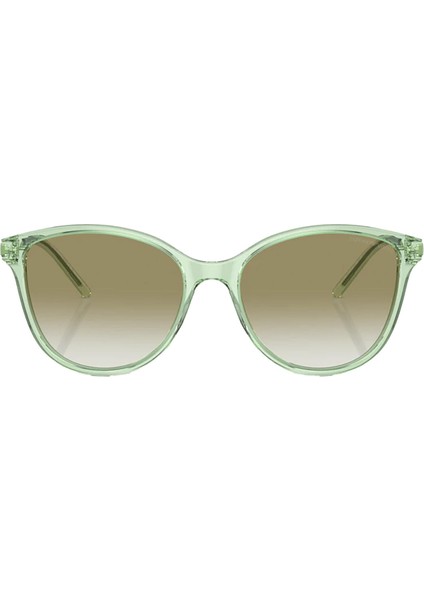 EA4220 61078E 54 Unisex Güneş Gözlüğü modelleri