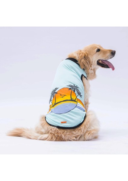 Mint Sunrise Büyük Köpek Tişörtü - Köpek Kıyafeti (15 Kg-45 Kg)