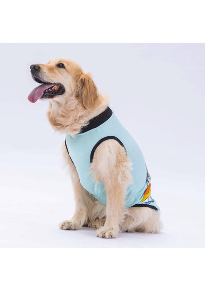 Mint Sunrise Büyük Köpek Tişörtü - Köpek Kıyafeti (15 Kg-45 Kg) fiyatları