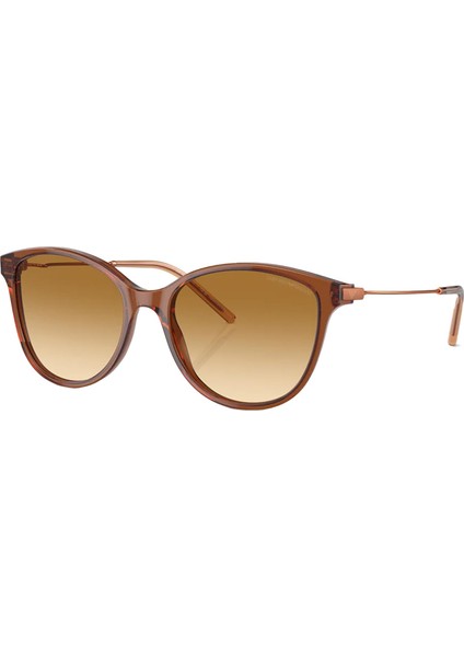 EA4220 61103B 54 Unisex Güneş Gözlüğü