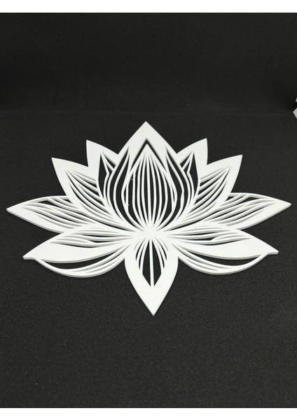 Lotus Duvar Süsü