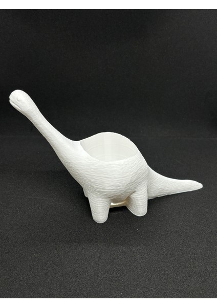 Dinozor Saksı