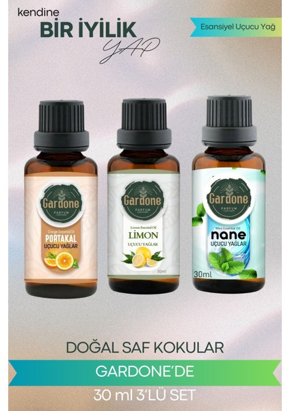 Portakal + Limon + Nane (Oda Kokusu Aroma Terapi Buhurdanlık/difüzör Yağı) 3 Adet x 30 ml