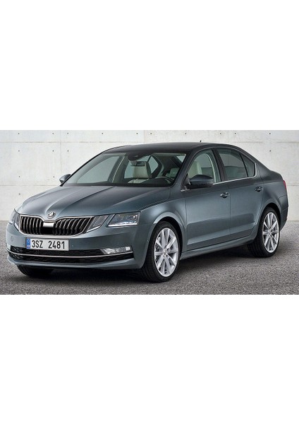 Skoda Octavia Bagaj Amortisörü 2013-2019 (2 Adet)