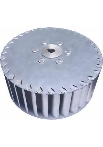 Çap 160 Boy 65 Delik 14 mm Sağ Yön Radyal Fan Pervanesi fırsatları