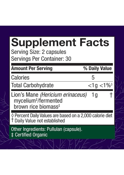 Lions Mane Mushrooms Brain Health Focus Memory Function Immune Nervous System Support