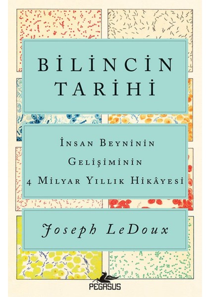 Bilincin Tarihi - İnsan Beyninin Gelişiminin 4 Milyar Yıllık Hikayesi