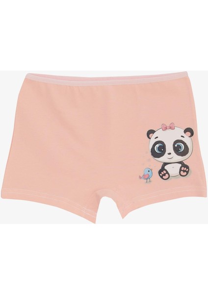 Kız Çocuk Boxer Sevimli Dost Hayvancıklar Baskılı 5-11 Yaş, Pembe