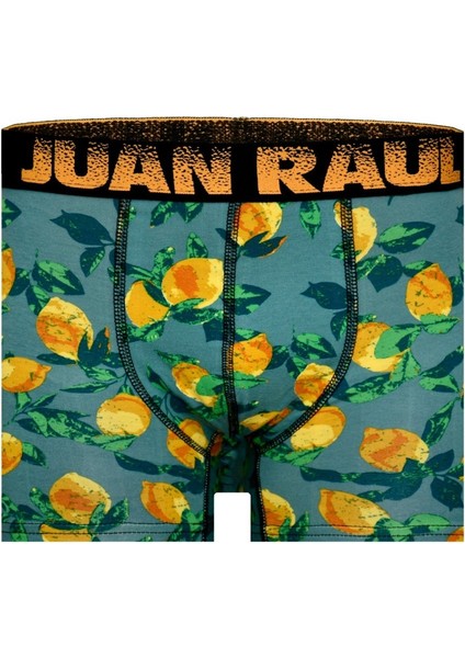 Munivy Juan Raul Limon Desenli Yeşil Rahat Erkek Boxer