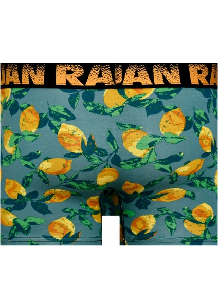 Munivy Juan Raul Limon Desenli Yeşil Rahat Erkek Boxer
