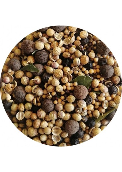 Bir Tutam Turşu Baharatı 100 gr