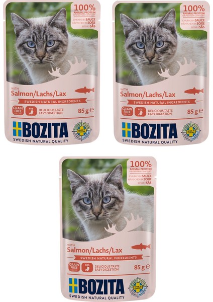 Pouch Somon Balıklı Tahılsız Kedi Yaş Mama 85 Gr. x 3 Adet