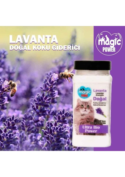 Magic Power Kedi Kumu Koku Giderici Lavanta 175 gr