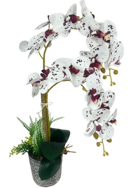 Yapay Çiçek 2li Benekli Bordo Islak Orkide Seramik Saksıda Orkide 60CM