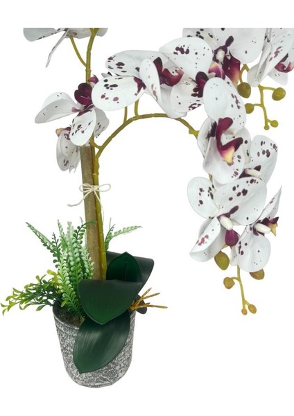 Yapay Çiçek 2li Benekli Bordo Islak Orkide Seramik Saksıda Orkide 60CM