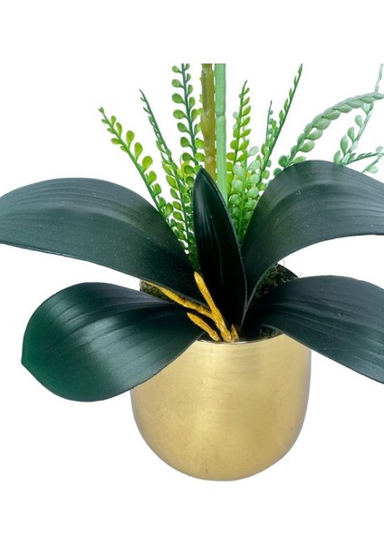 Yapay Çiçek Beyaz Islak Orkide Gold Metal Saksıda Seramik Saksıda Orkide 60CM
