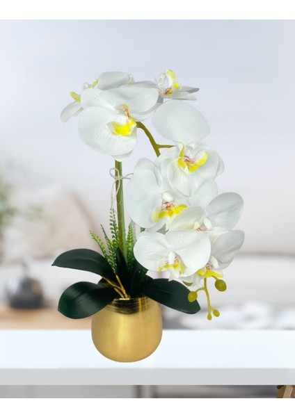 Yapay Çiçek Beyaz Islak Orkide Gold Metal Saksıda Seramik Saksıda Orkide 60CM
