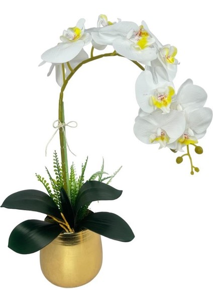 Yapay Çiçek Beyaz Islak Orkide Gold Metal Saksıda Seramik Saksıda Orkide 60CM