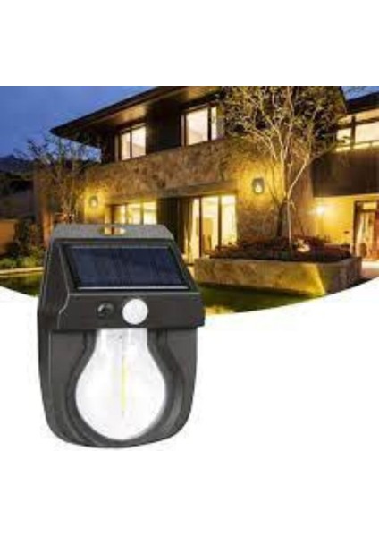 -Solar Sensor Light CL-118