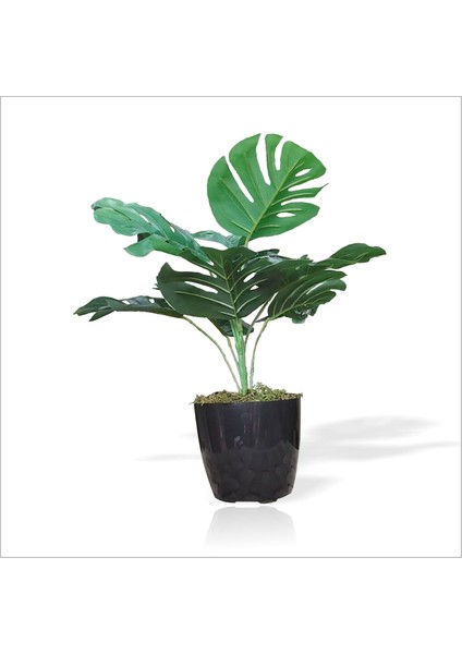 Yapay Uzun 40 cm Çimli Saksılı Deve Tabanı Kauçuk Çiçeği Bitkisi Ağacı Yaprağı