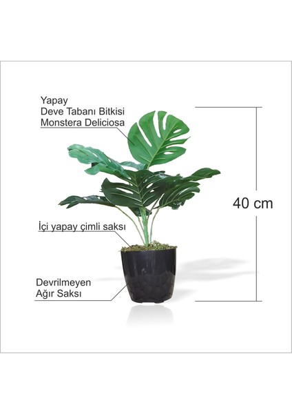 Yapay Uzun 40 cm Çimli Saksılı Deve Tabanı Kauçuk Çiçeği Bitkisi Ağacı Yaprağı